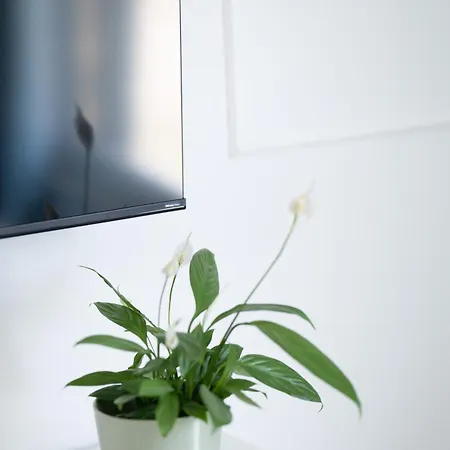 Apartamento Gold Deluxe *