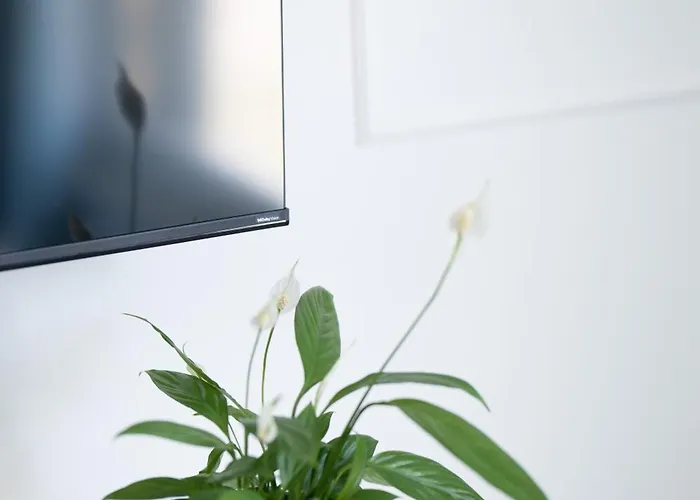 Apartmán Gold Deluxe *